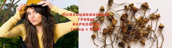 герыч Арсеньев