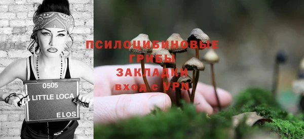 герыч Арсеньев