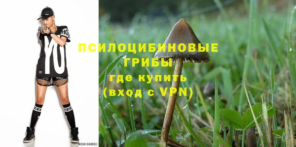 герыч Арсеньев