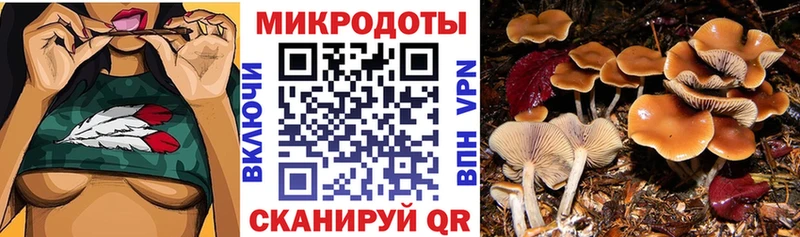 Купить  Поворино  Галлюциногенные грибы мицелий 